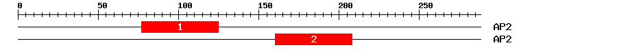 Signature Domain