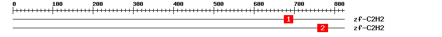 Signature Domain