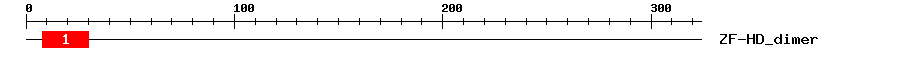Signature Domain