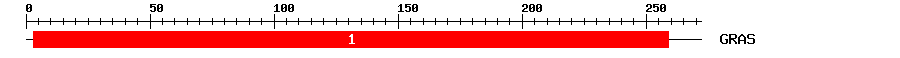 Signature Domain