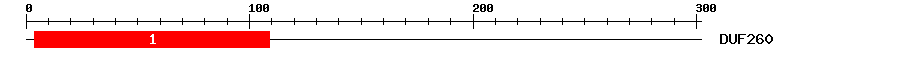 Signature Domain