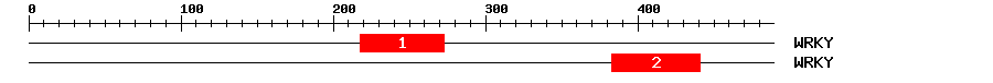 Signature Domain
