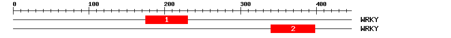 Signature Domain