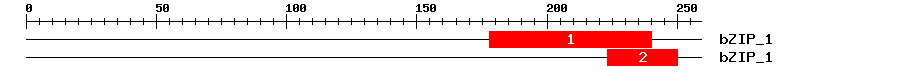 Signature Domain