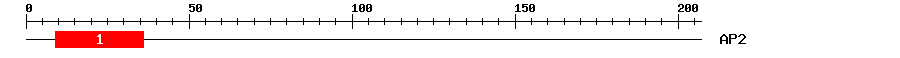 Signature Domain