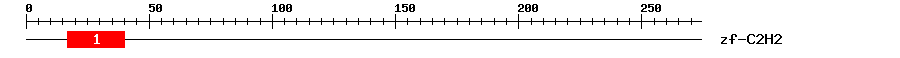 Signature Domain