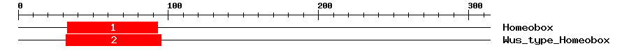 Signature Domain