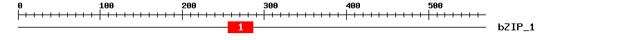 Signature Domain