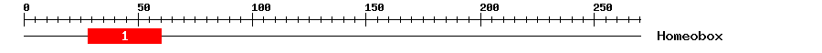 Signature Domain