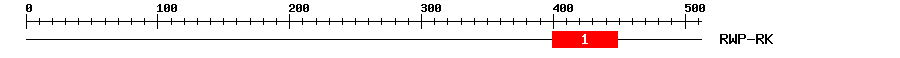 Signature Domain