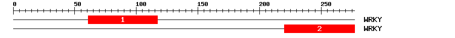 Signature Domain