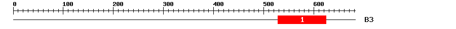 Signature Domain