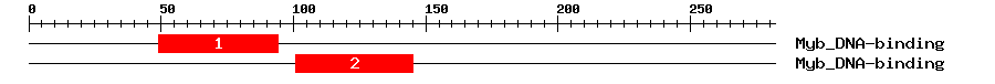 Signature Domain