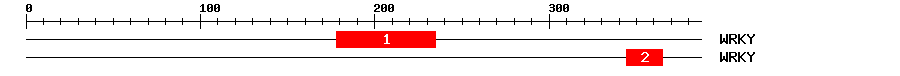 Signature Domain