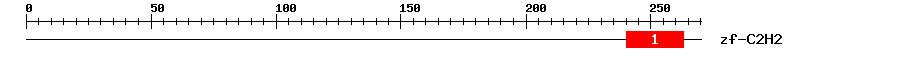 Signature Domain