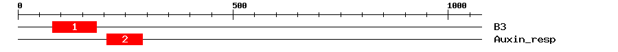 Signature Domain