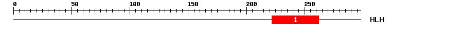 Signature Domain