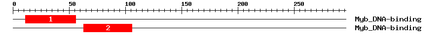 Signature Domain