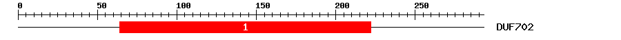 Signature Domain
