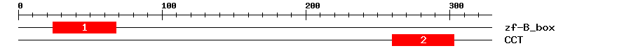Signature Domain