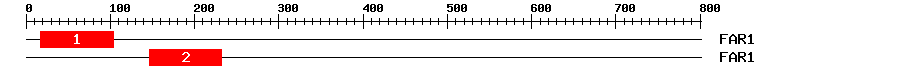 Signature Domain