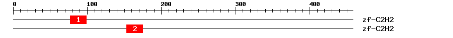 Signature Domain
