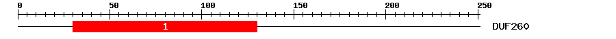 Signature Domain
