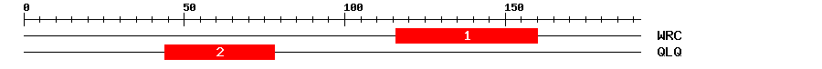 Signature Domain
