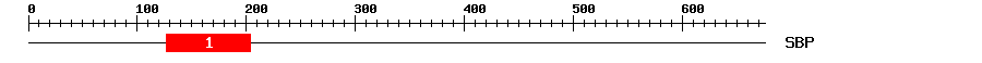Signature Domain
