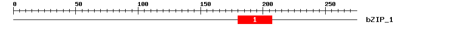 Signature Domain