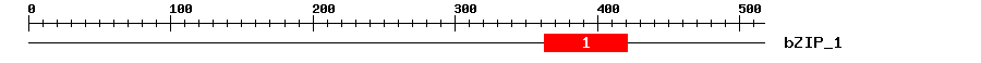 Signature Domain