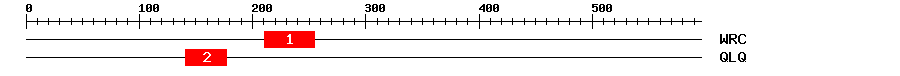 Signature Domain