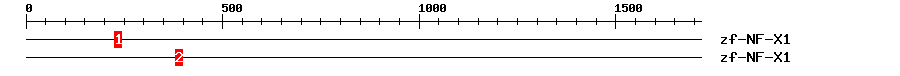 Signature Domain
