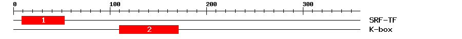 Signature Domain