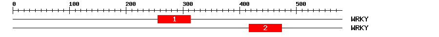 Signature Domain