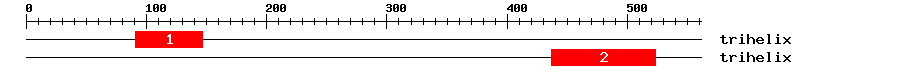 Signature Domain