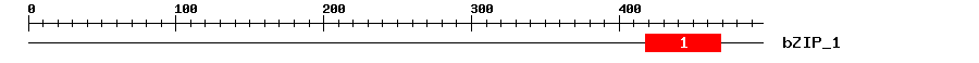 Signature Domain
