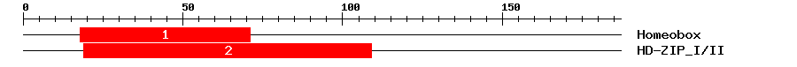 Signature Domain
