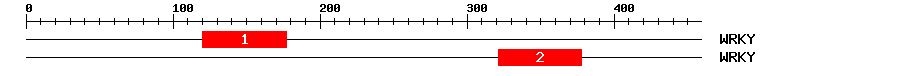 Signature Domain