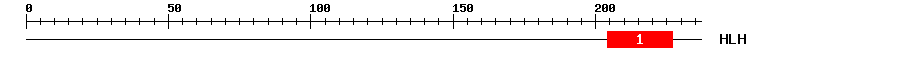 Signature Domain