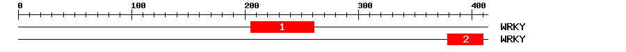 Signature Domain