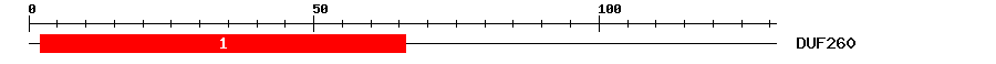Signature Domain