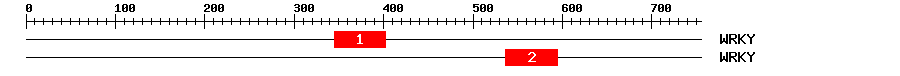 Signature Domain