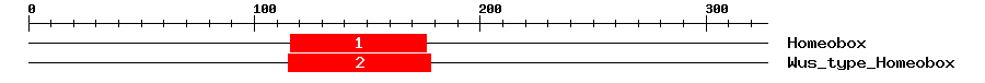 Signature Domain