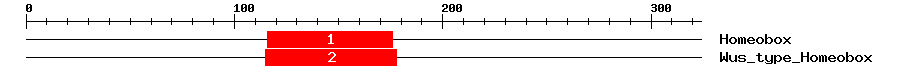 Signature Domain
