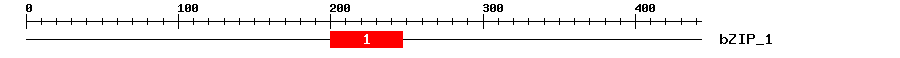 Signature Domain