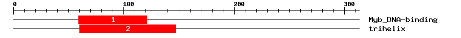 Signature Domain