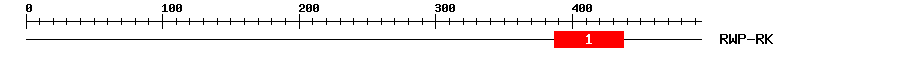Signature Domain