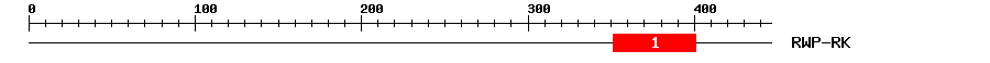 Signature Domain