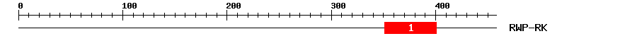 Signature Domain